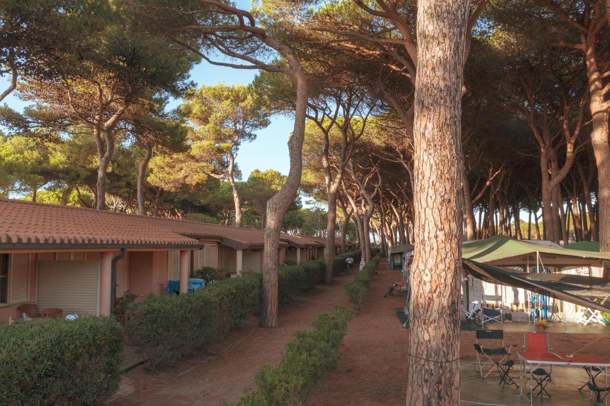 Gitavillage Argentario Albinia Exterior photo